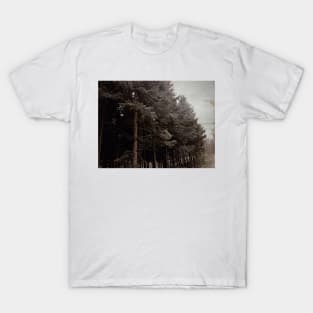 Vintage misty forest photography T-Shirt